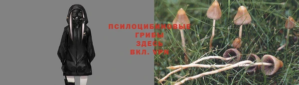 бошки Белоозёрский