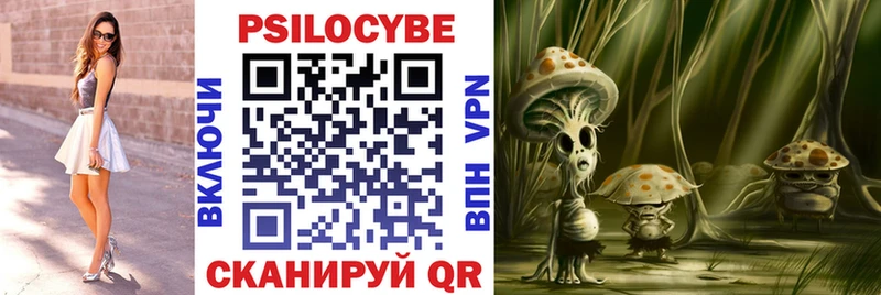 OMG зеркало  Пикалёво  мориарти официальный сайт  Псилоцибиновые грибы GOLDEN TEACHER 